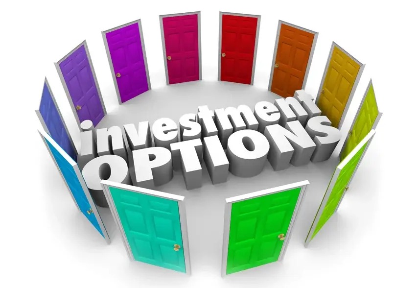 Exploring the best investment options