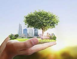 Exploring Sustainable and Responsible Investment Options